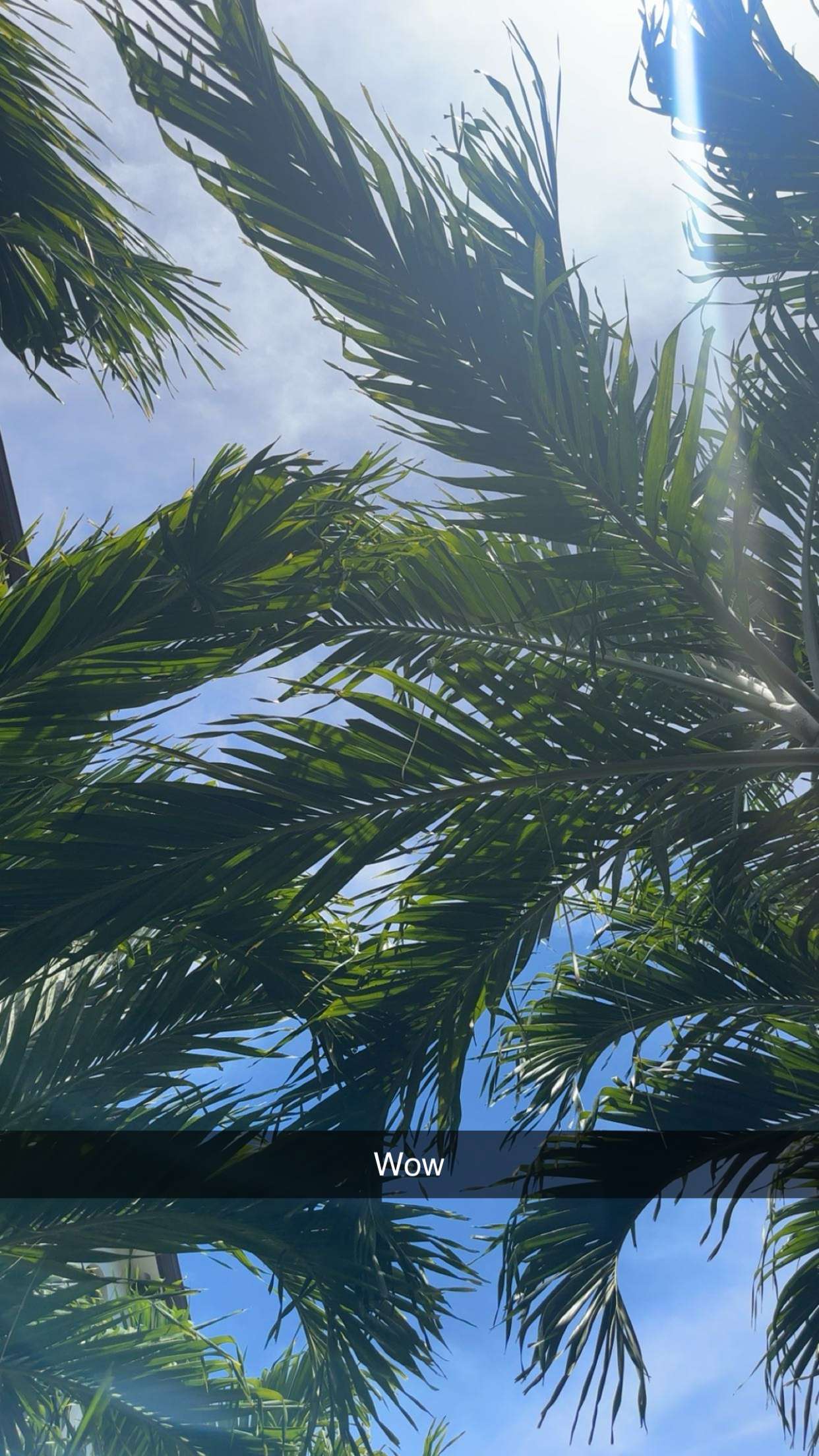 kylaayese snapchat image archive image