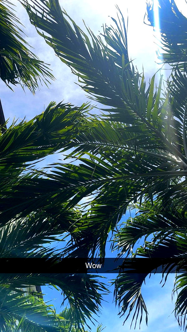 kylaayese image ~ Altpins