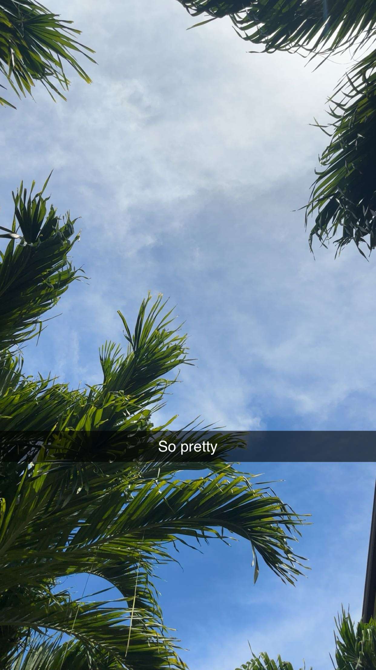 kylaayese snapchat image archive image