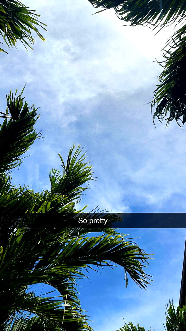 kylaayese image ~ Altpins