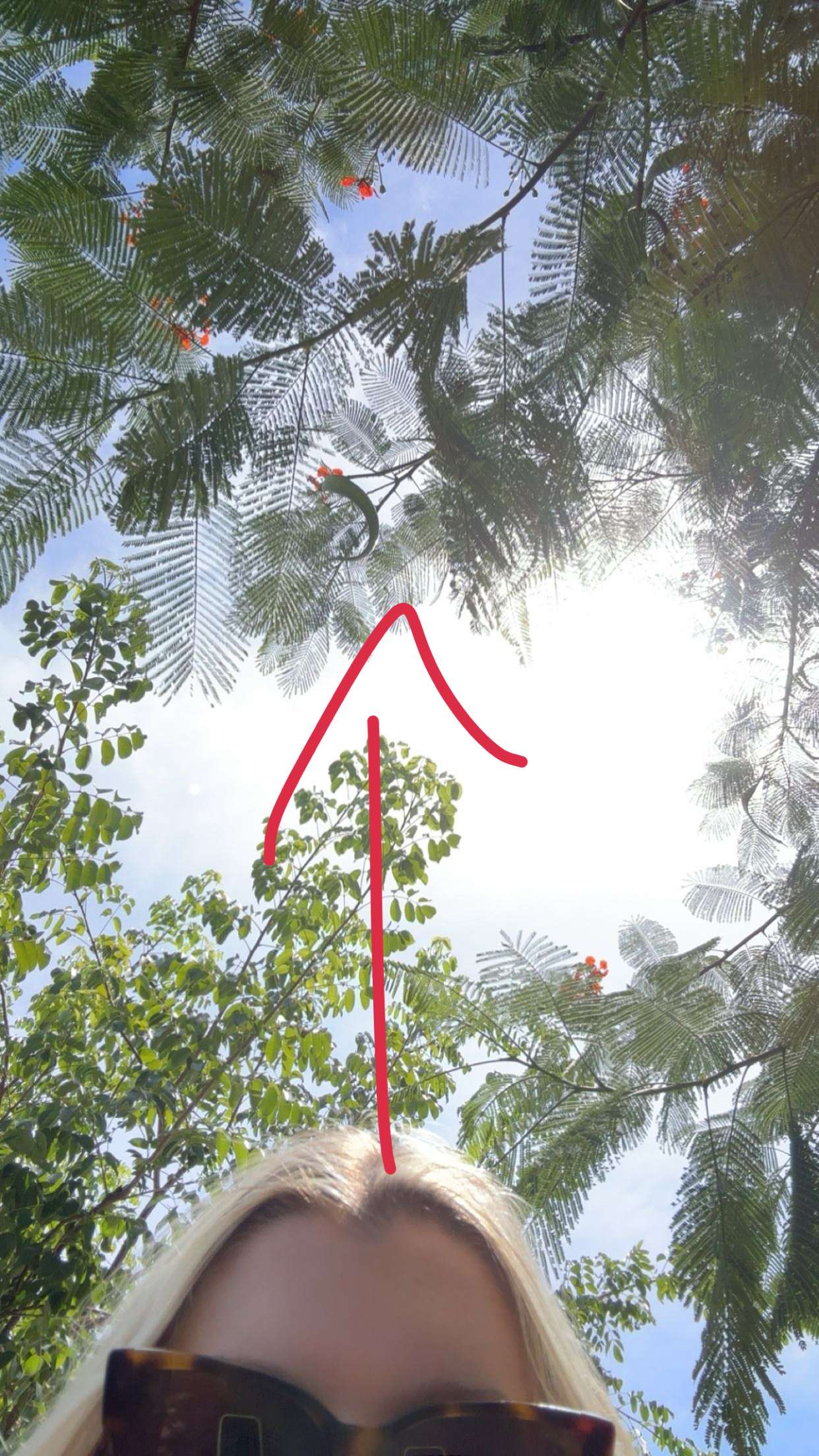 kylaayese snapchat image archive image