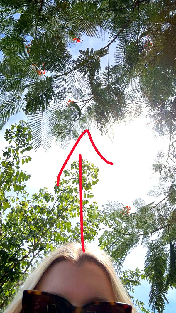 kylaayese image ~ Altpins