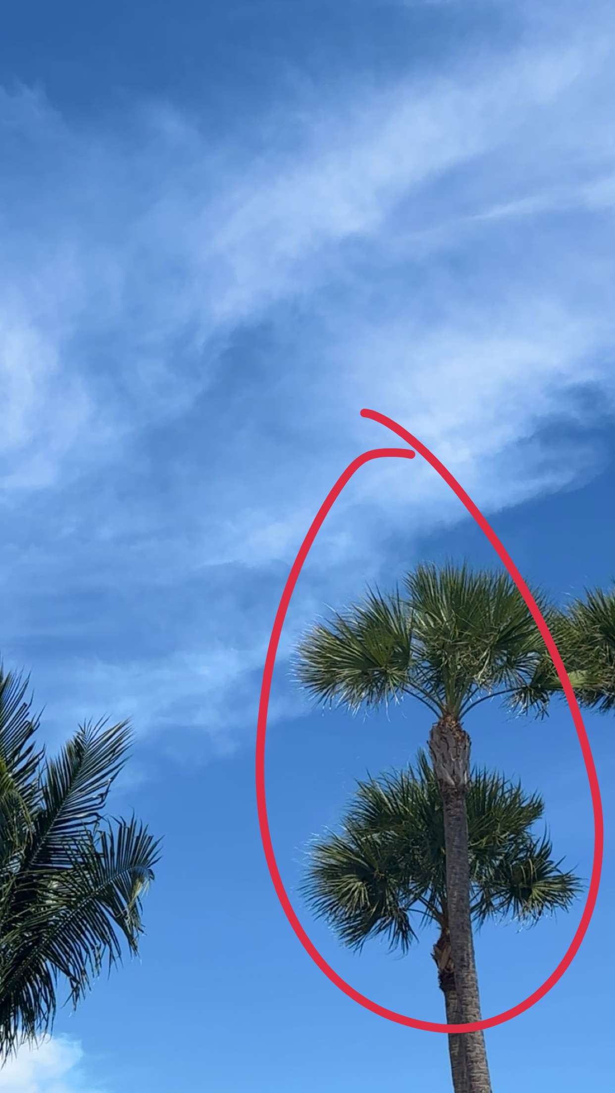 kylaayese snapchat image archive image