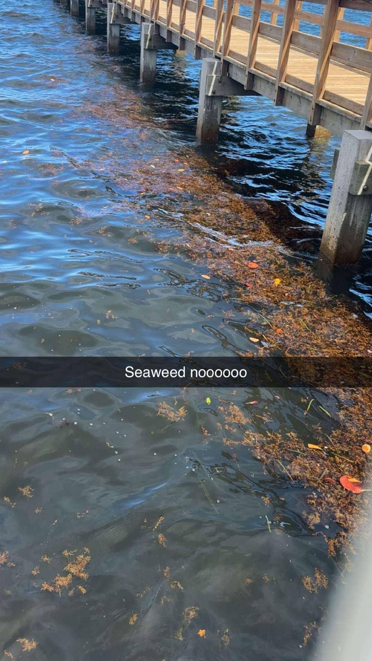 kylaayese snapchat image archive image