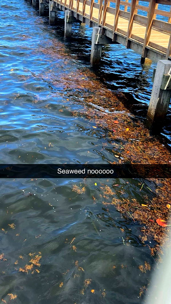 kylaayese image ~ Altpins