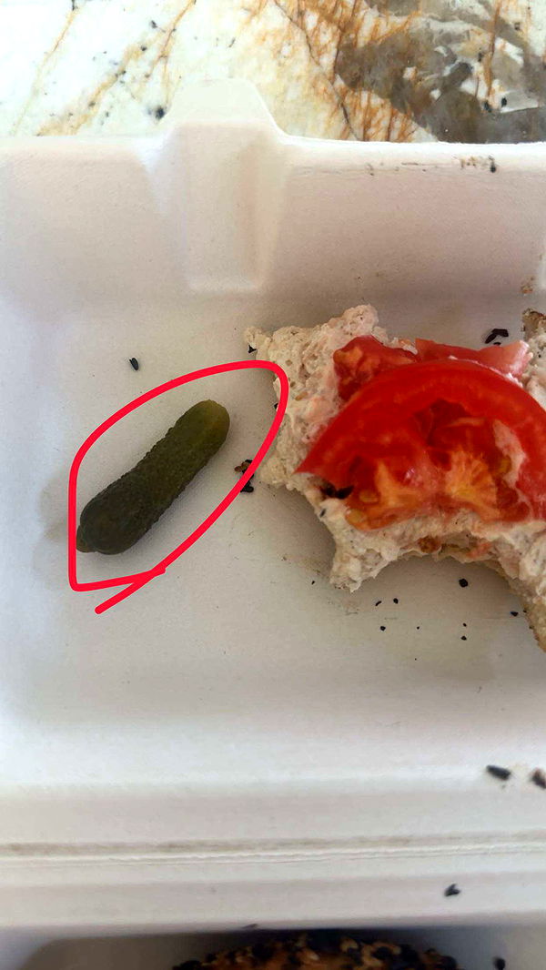 kylaayese image ~ Altpins