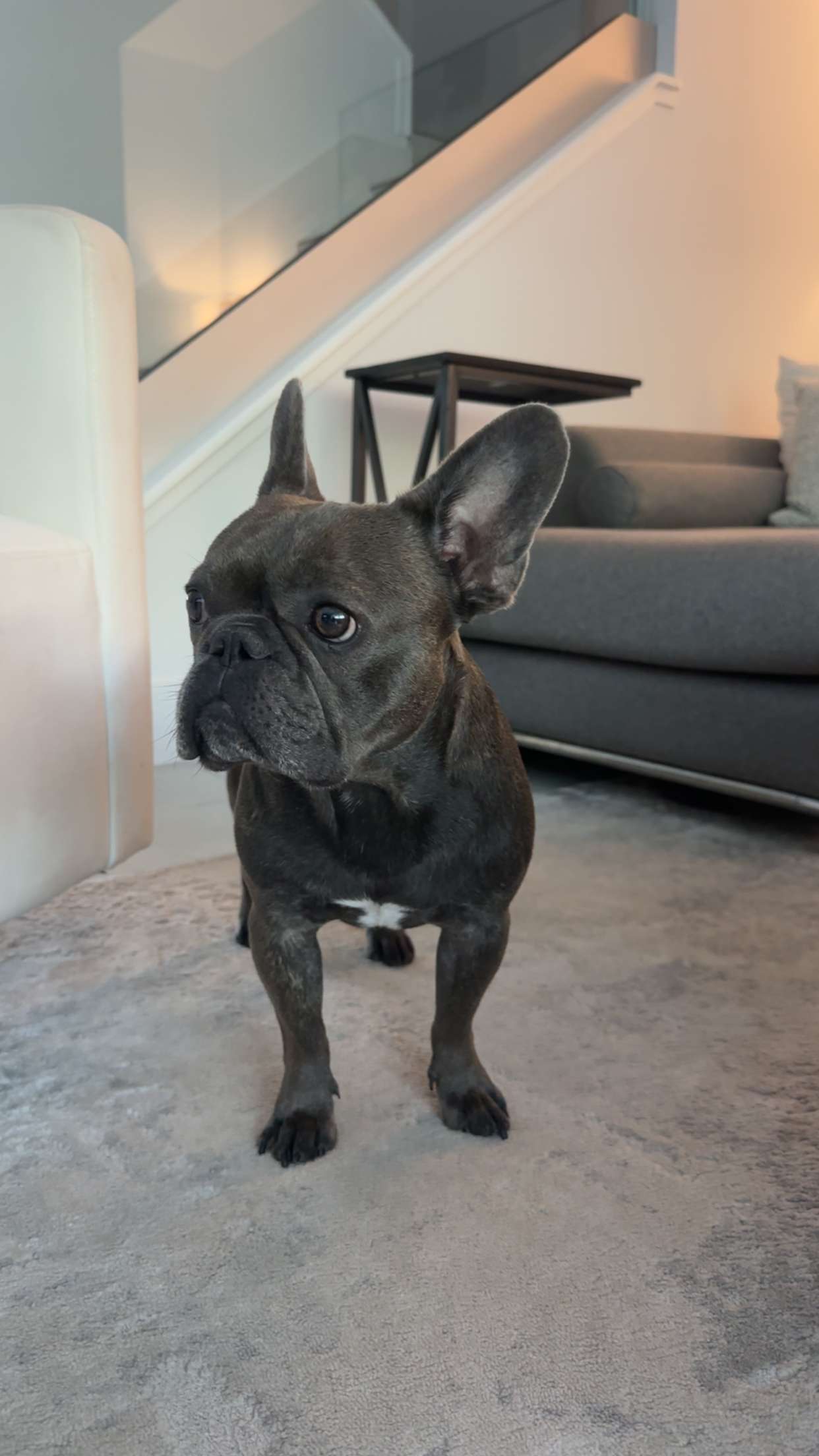 kylaayese snapchat image archive image