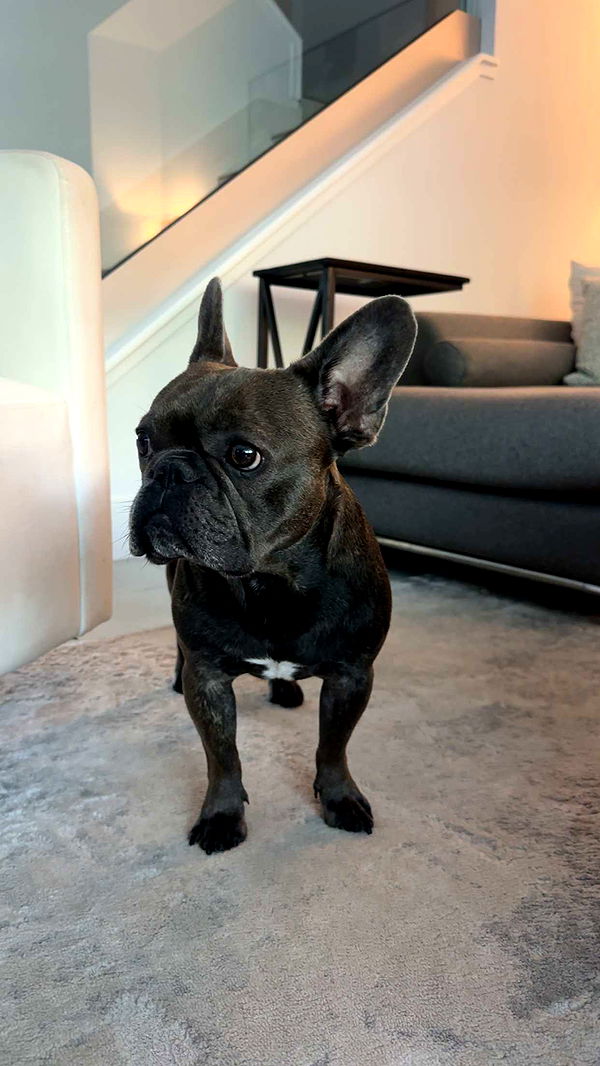 kylaayese image ~ Altpins