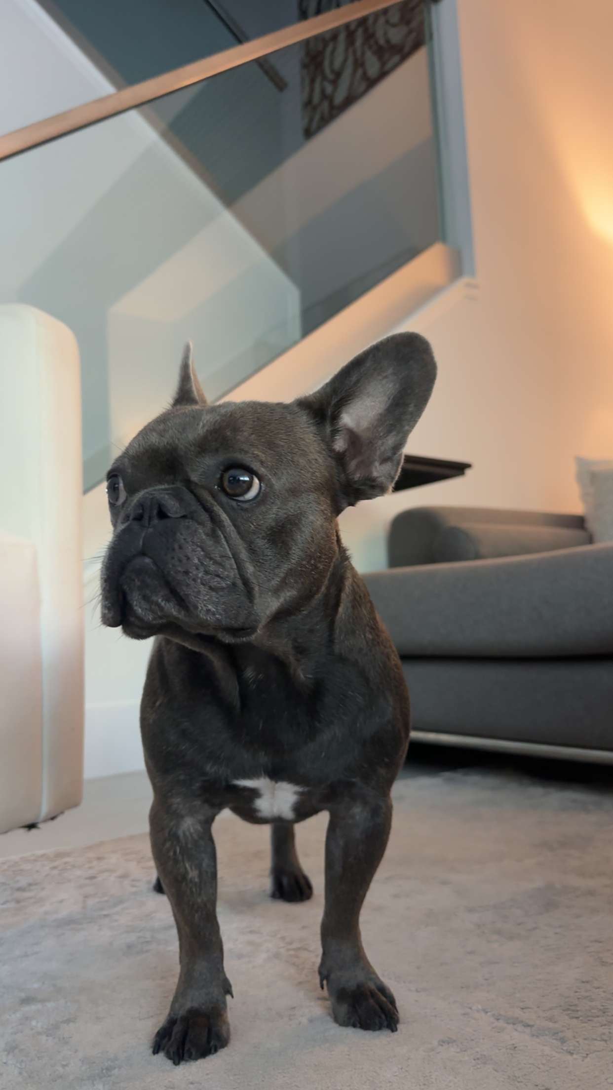 kylaayese snapchat image archive image