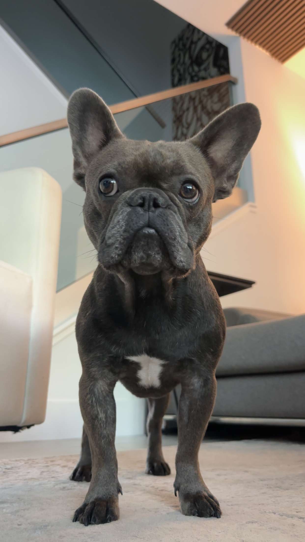 kylaayese snapchat image archive image