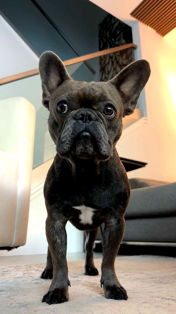 kylaayese image ~ Altpins