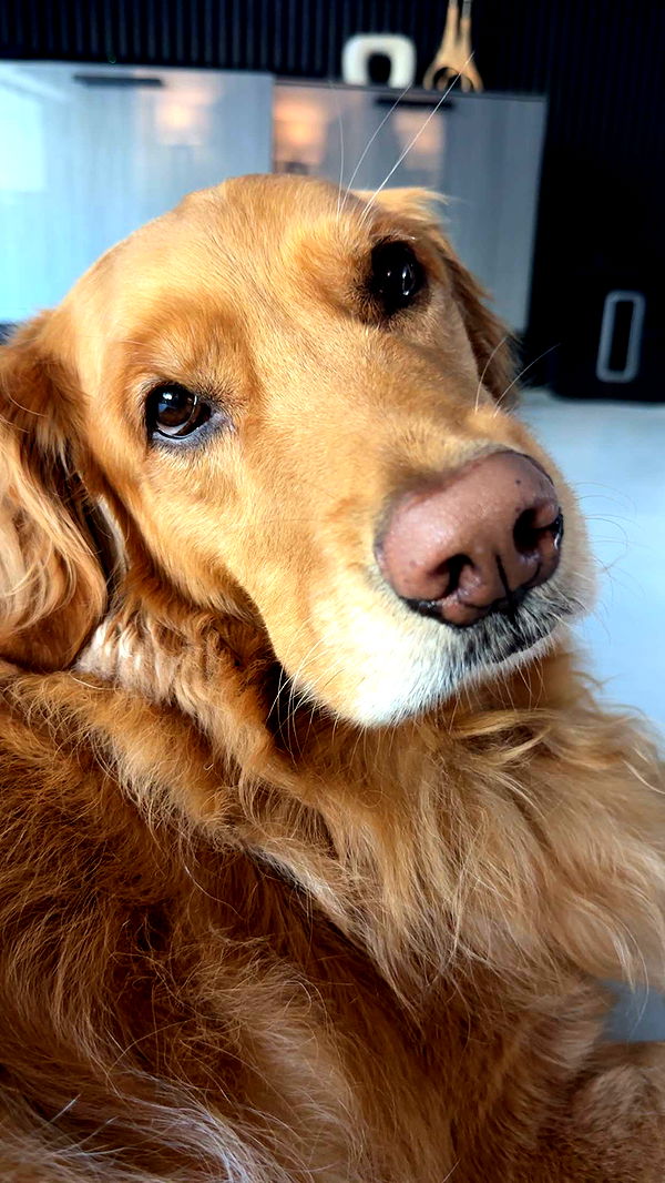 kylaayese image ~ Altpins