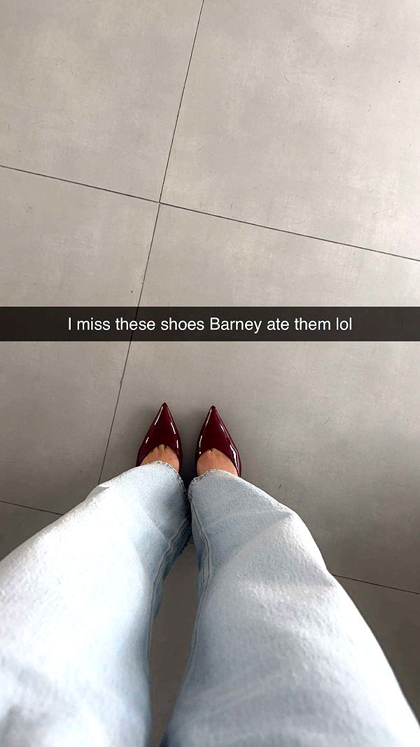 kylaayese image ~ Altpins