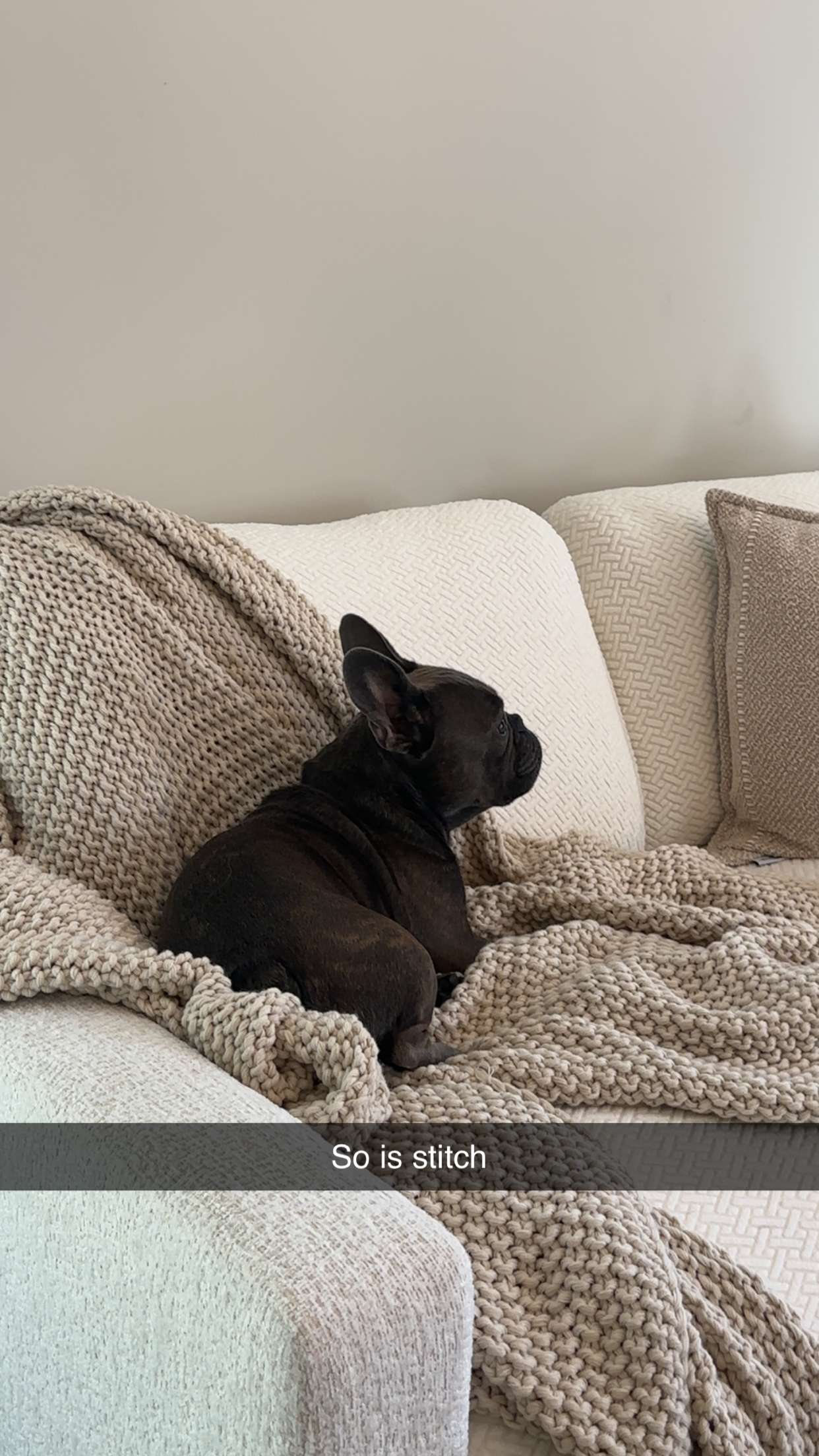 kylaayese snapchat image archive image