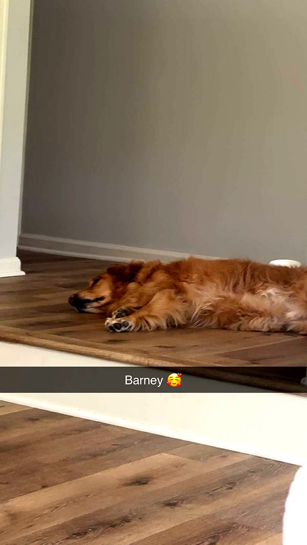 kylaayese image ~ Altpins