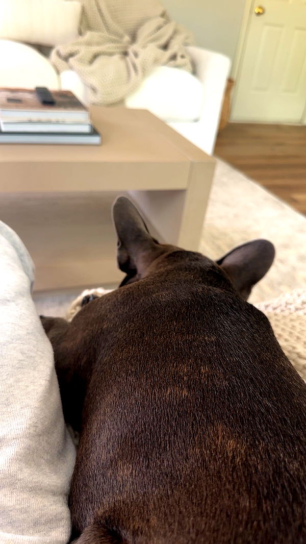 kylaayese image ~ Altpins