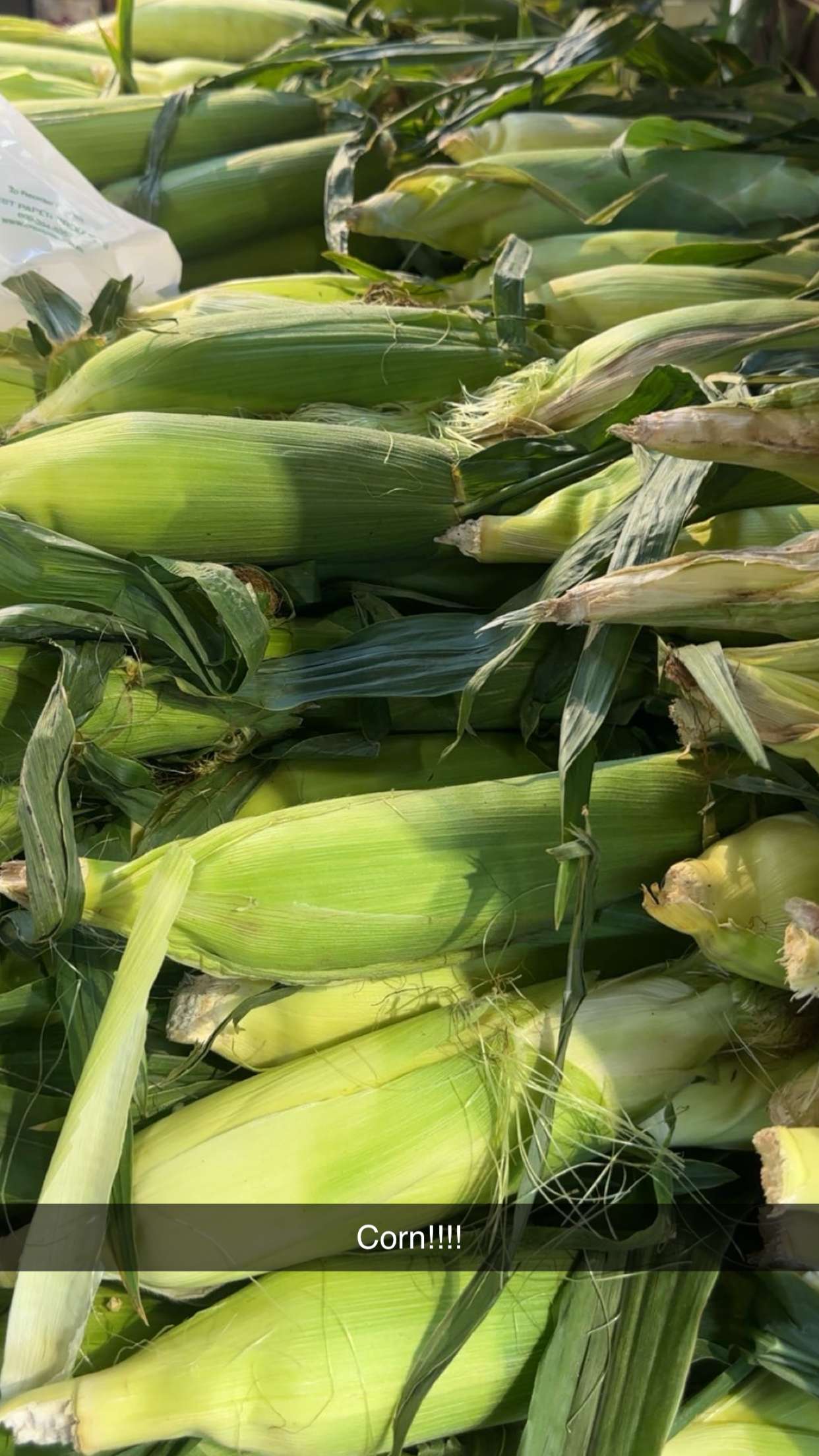 kylaayese snapchat image archive image