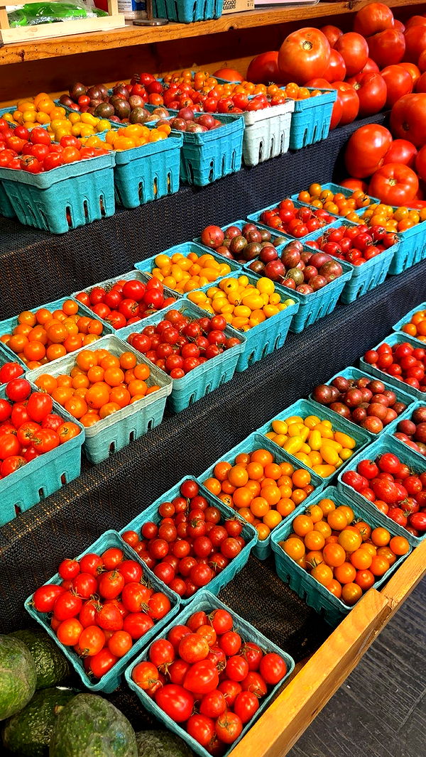 kylaayese image ~ Altpins