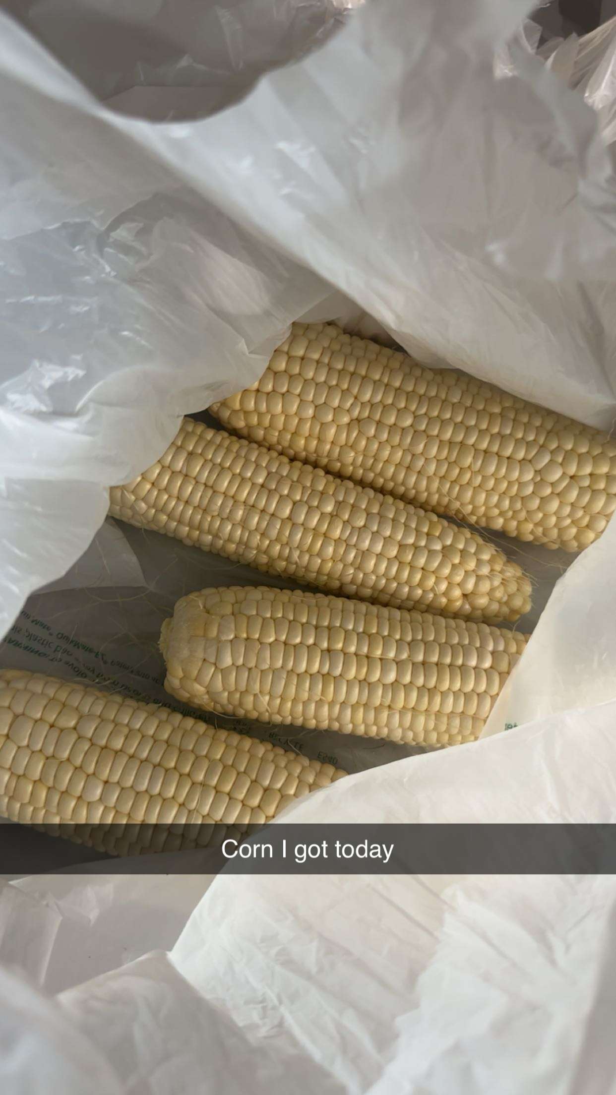 kylaayese snapchat image archive image