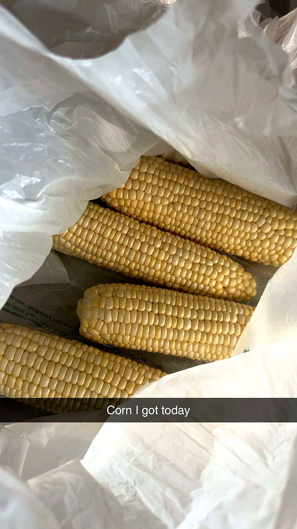 kylaayese image ~ Altpins