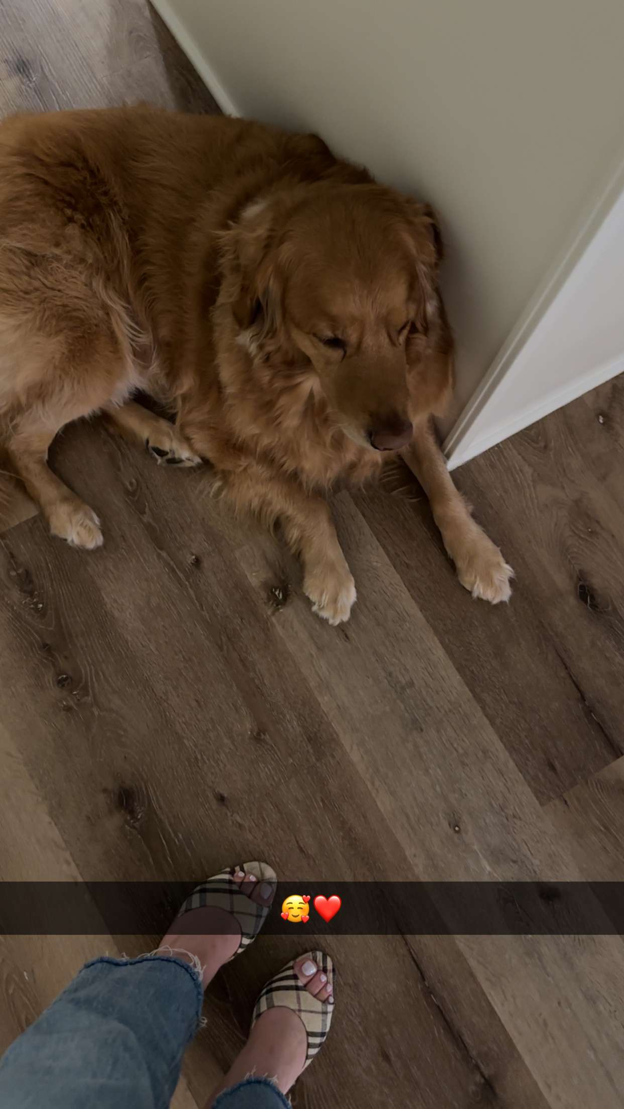 kylaayese snapchat image archive image