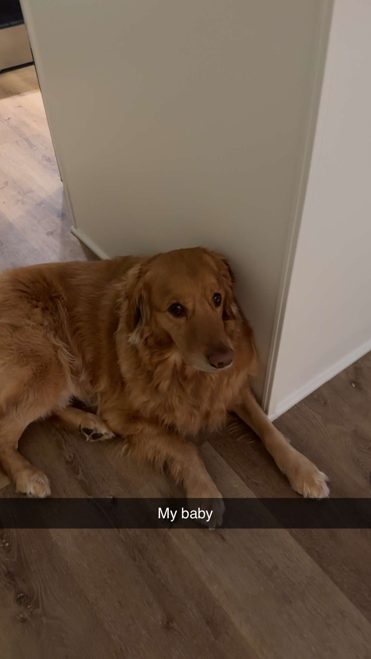 kylaayese snapchat image archive image