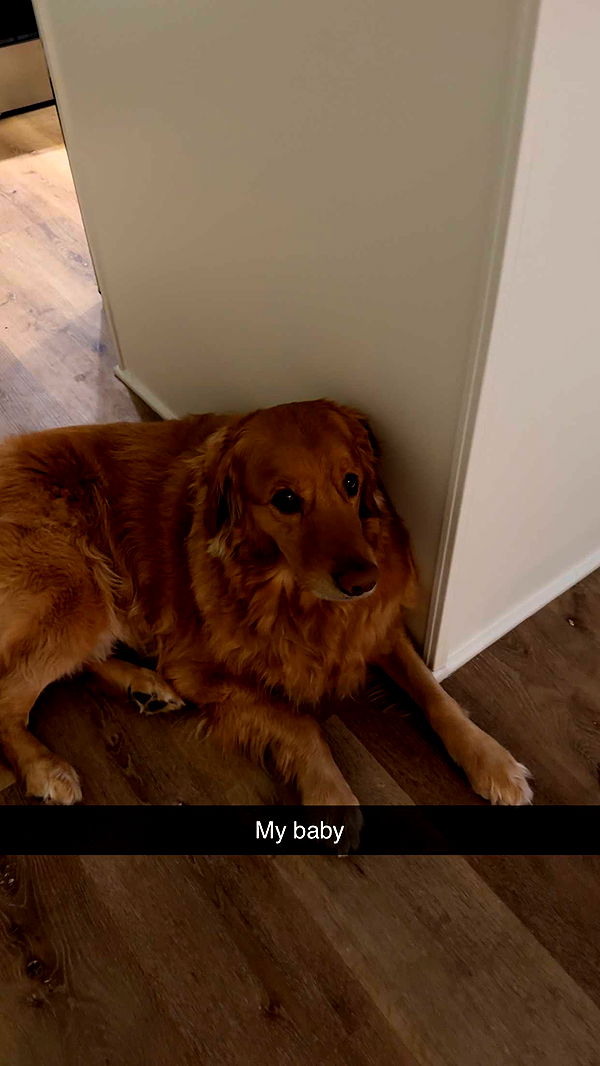 kylaayese image ~ Altpins