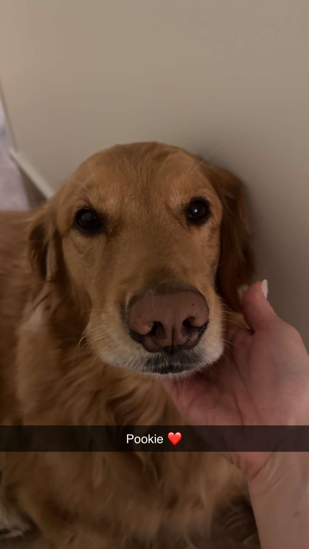 kylaayese snapchat image archive image