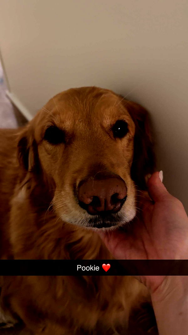 kylaayese image ~ Altpins