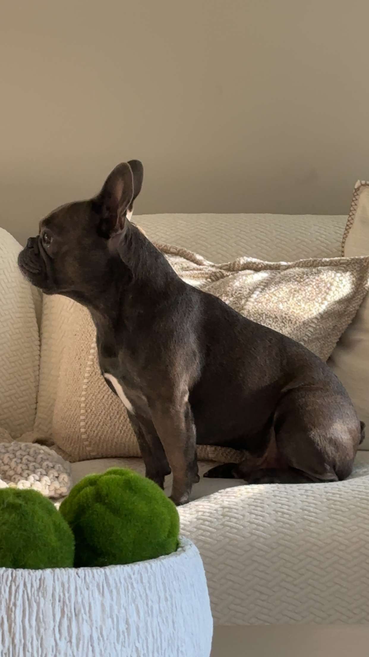 kylaayese snapchat image archive image