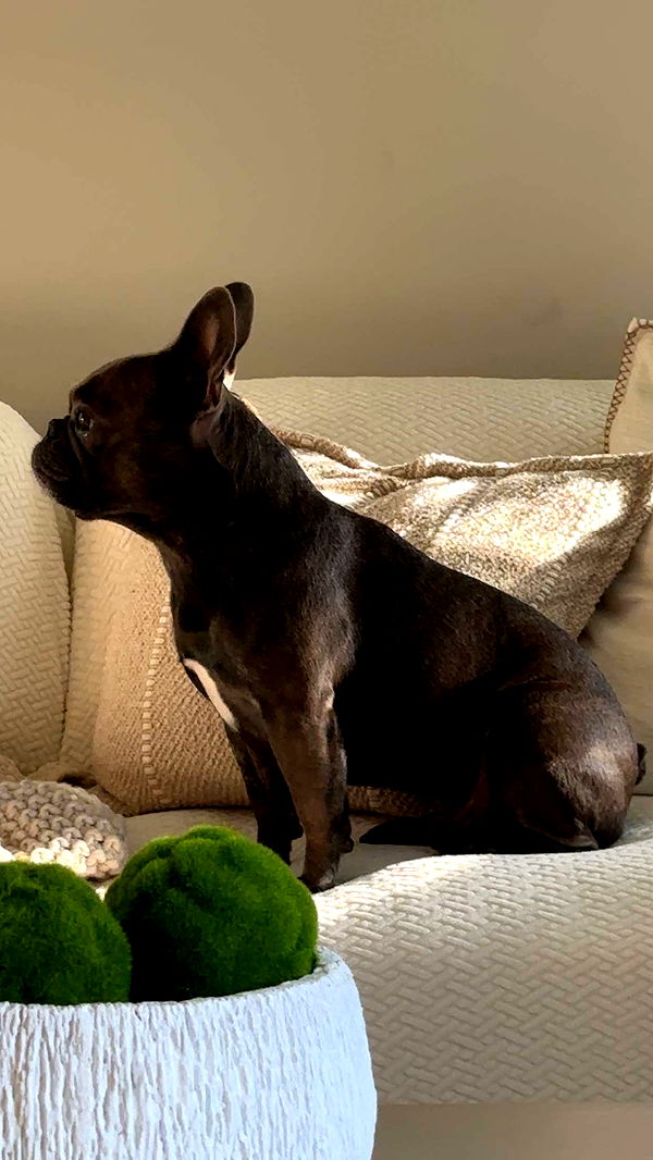 kylaayese image ~ Altpins