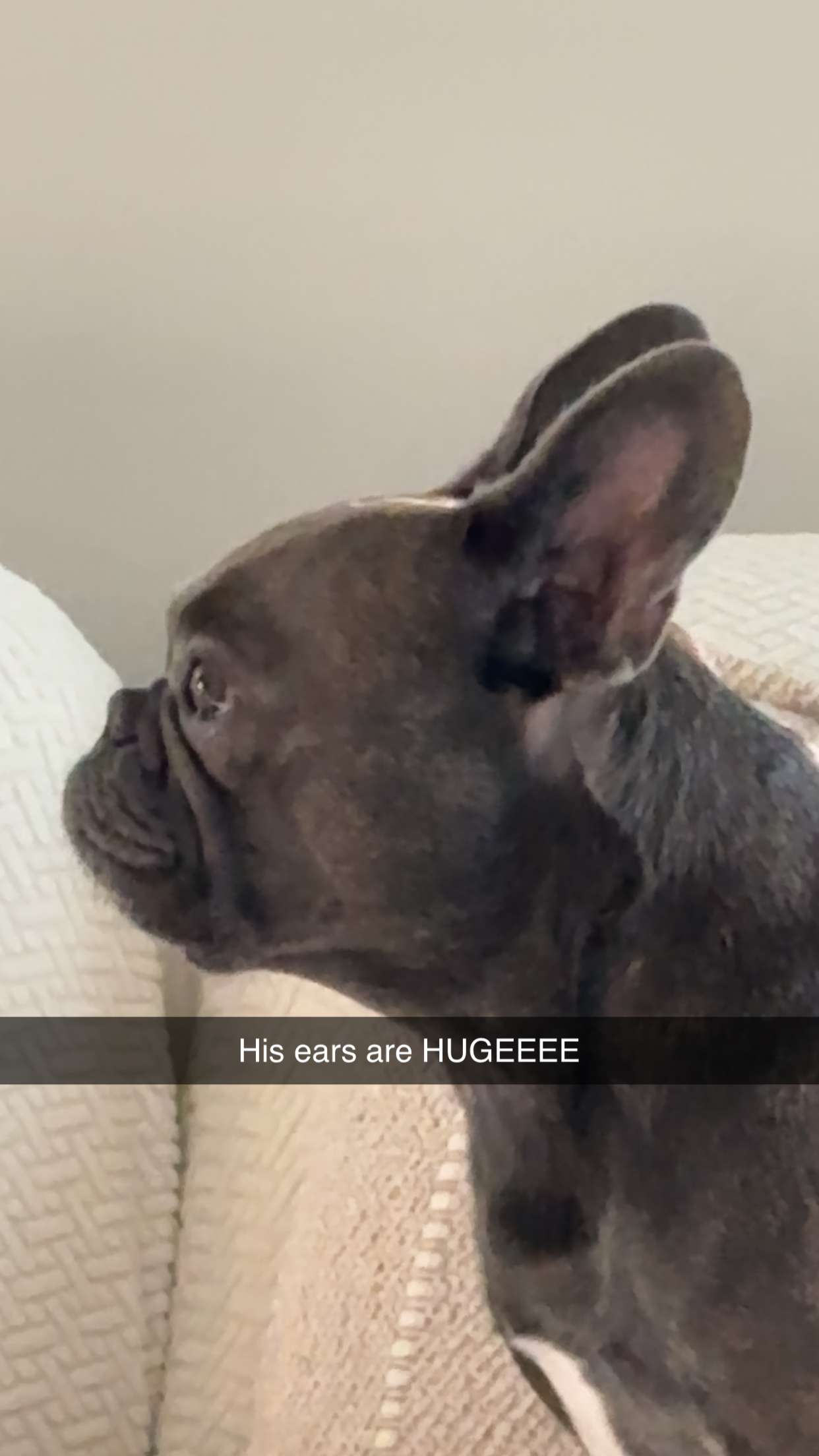 kylaayese snapchat image archive image