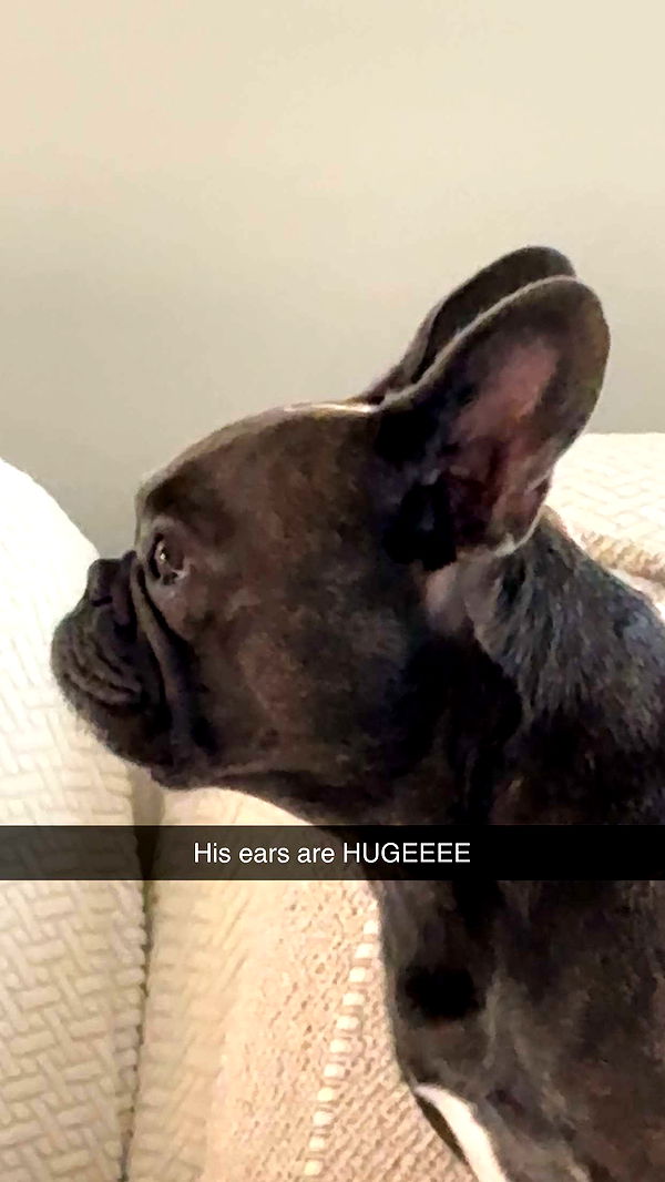 kylaayese image ~ Altpins