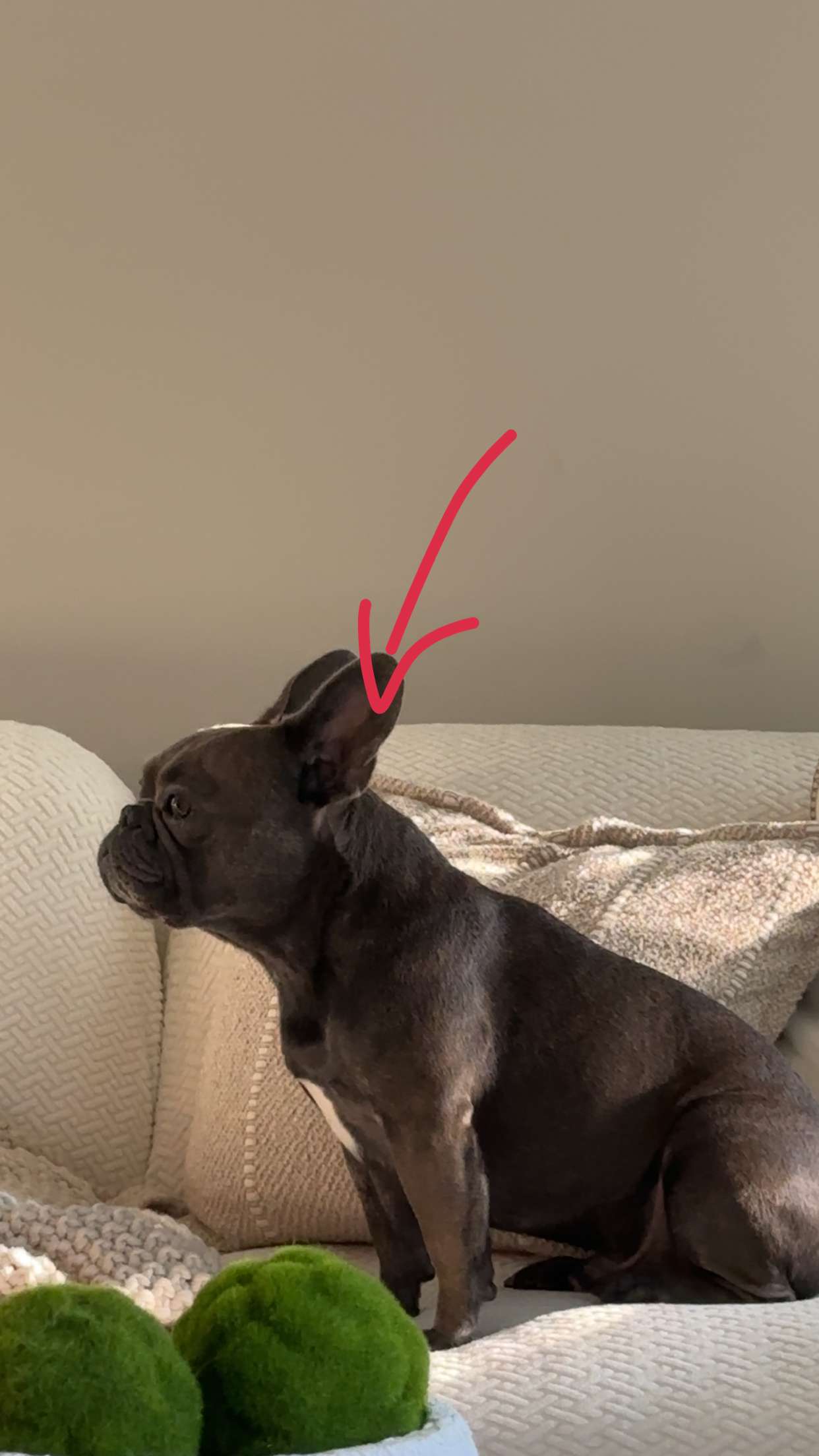 kylaayese snapchat image archive image