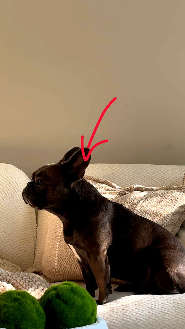 kylaayese image ~ Altpins