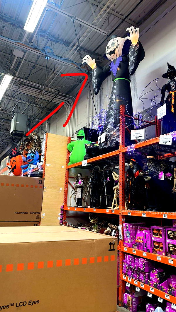 kylaayese image ~ Altpins