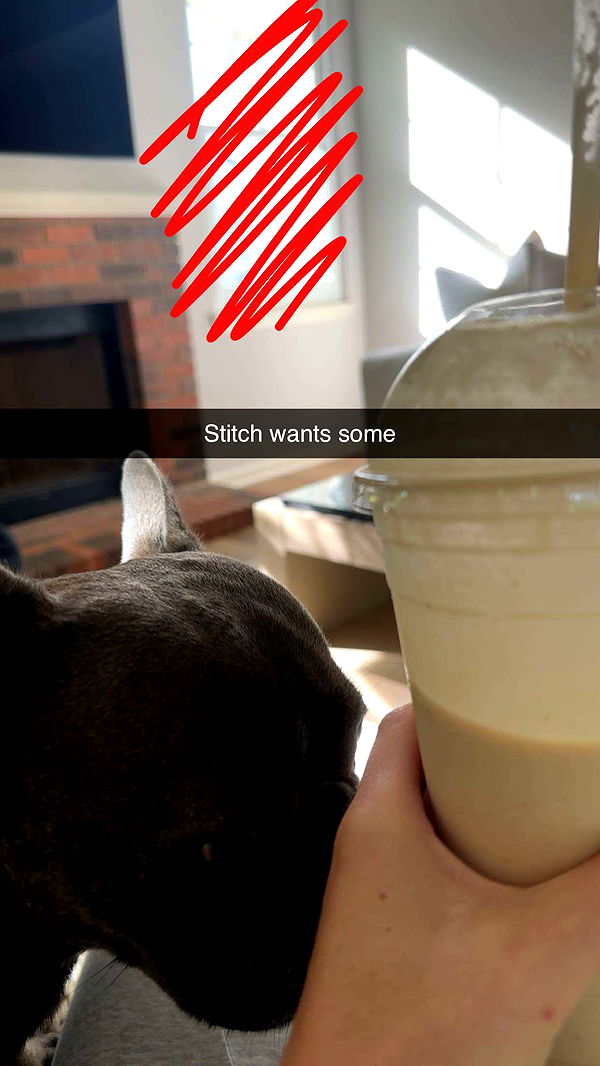 kylaayese image ~ Altpins