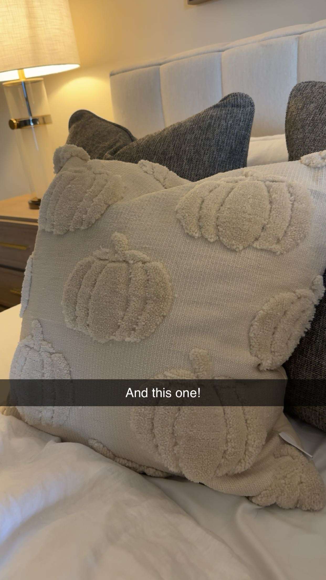 kylaayese snapchat image archive image