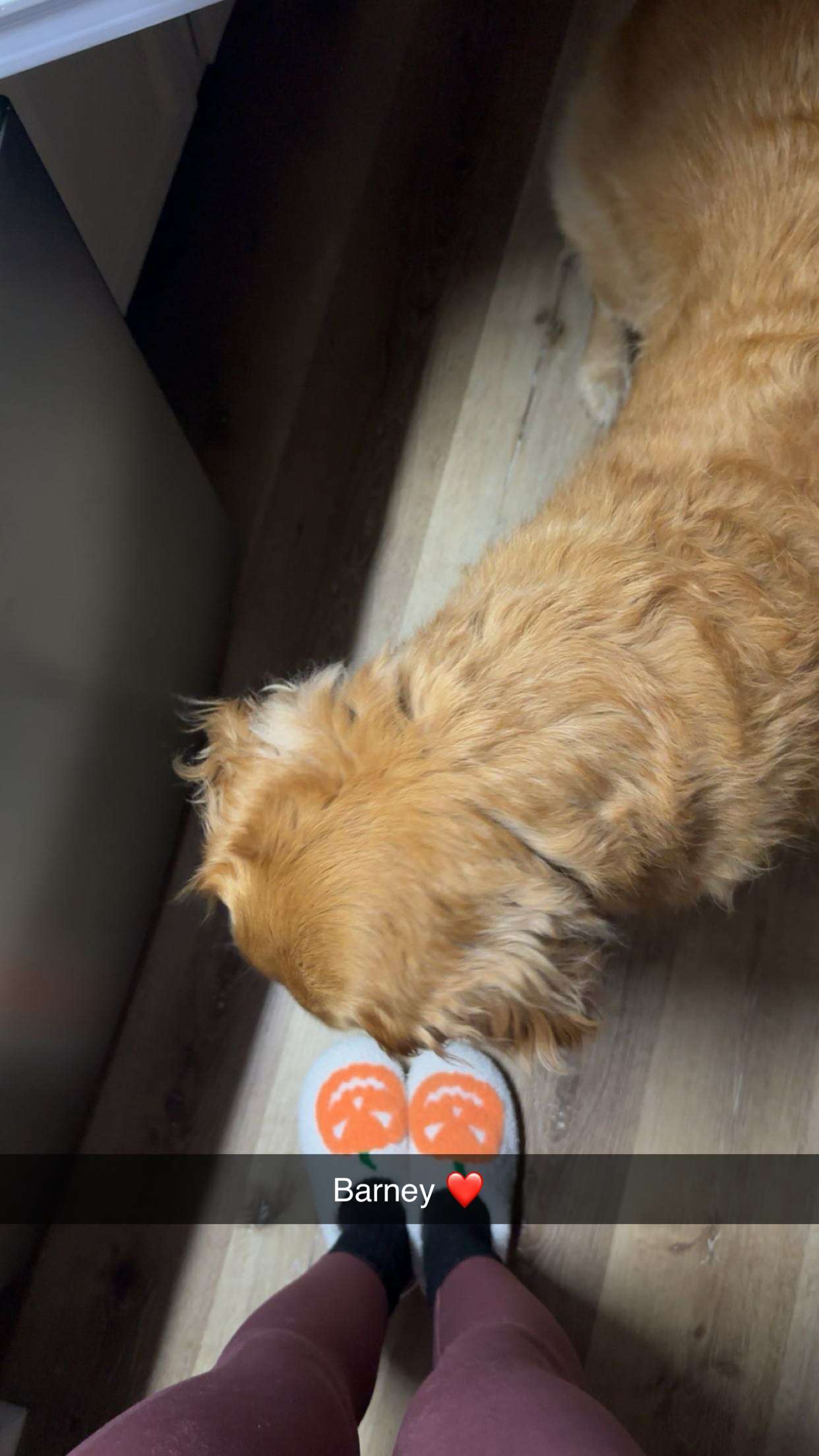 kylaayese snapchat image archive image