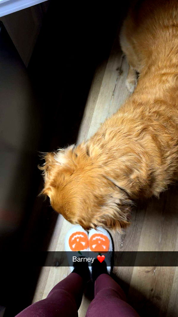 kylaayese image ~ Altpins