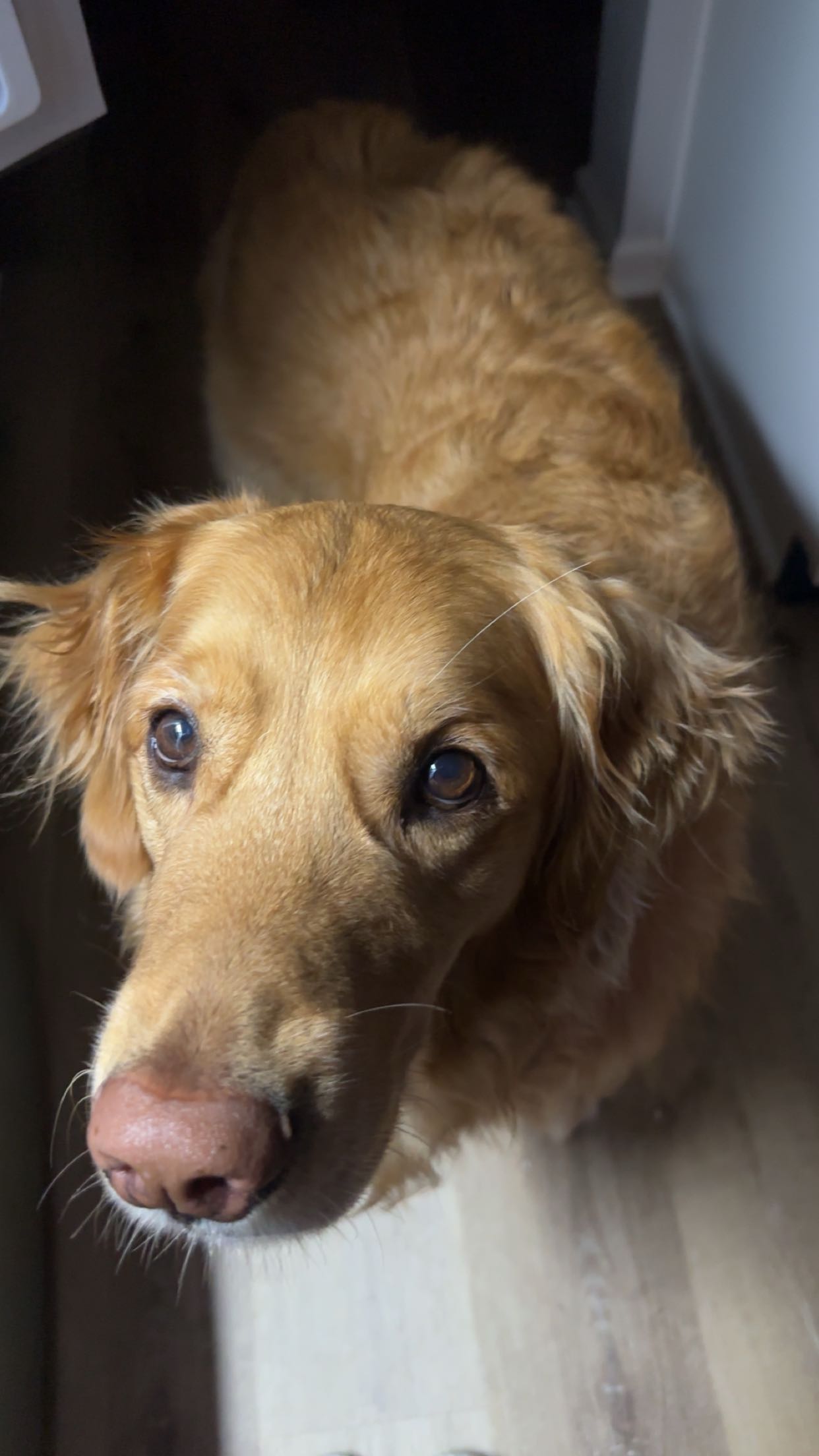 kylaayese snapchat image archive image