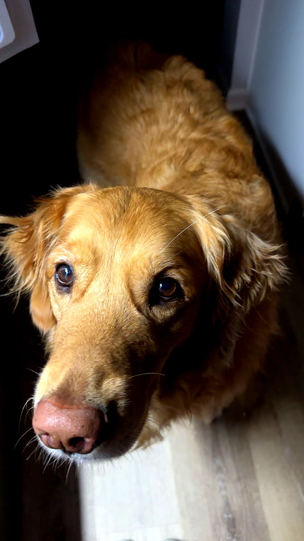 kylaayese image ~ Altpins