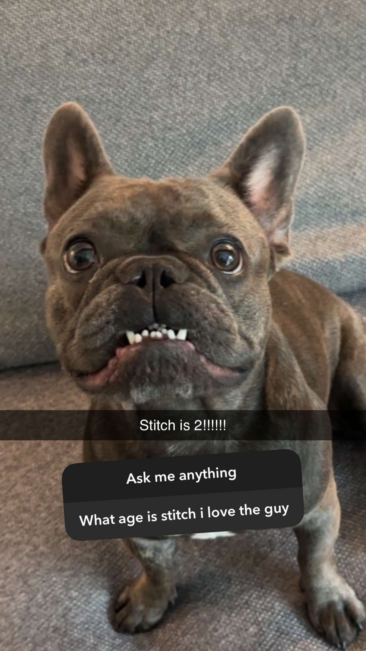 kylaayese snapchat image archive image