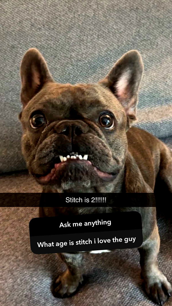 kylaayese image ~ Altpins