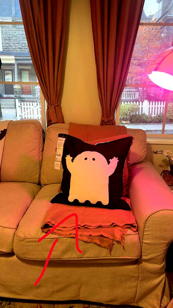 kylaayese image ~ Altpins