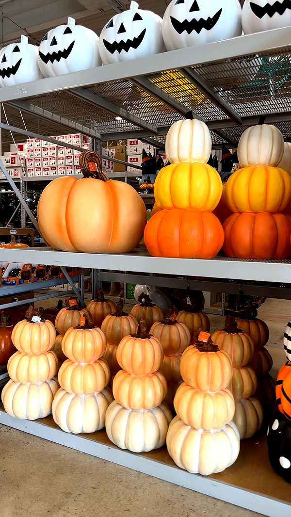 kylaayese image ~ Altpins