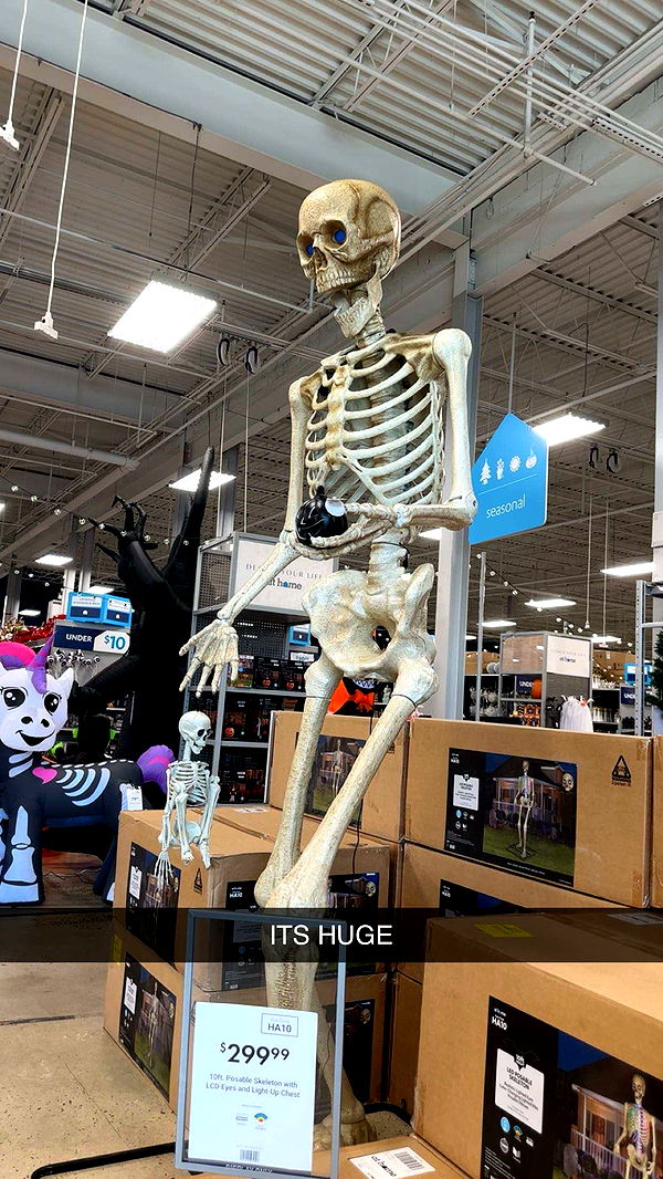 kylaayese image ~ Altpins