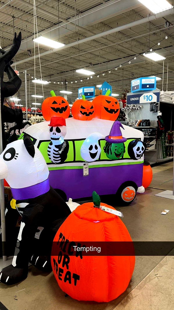 kylaayese image ~ Altpins