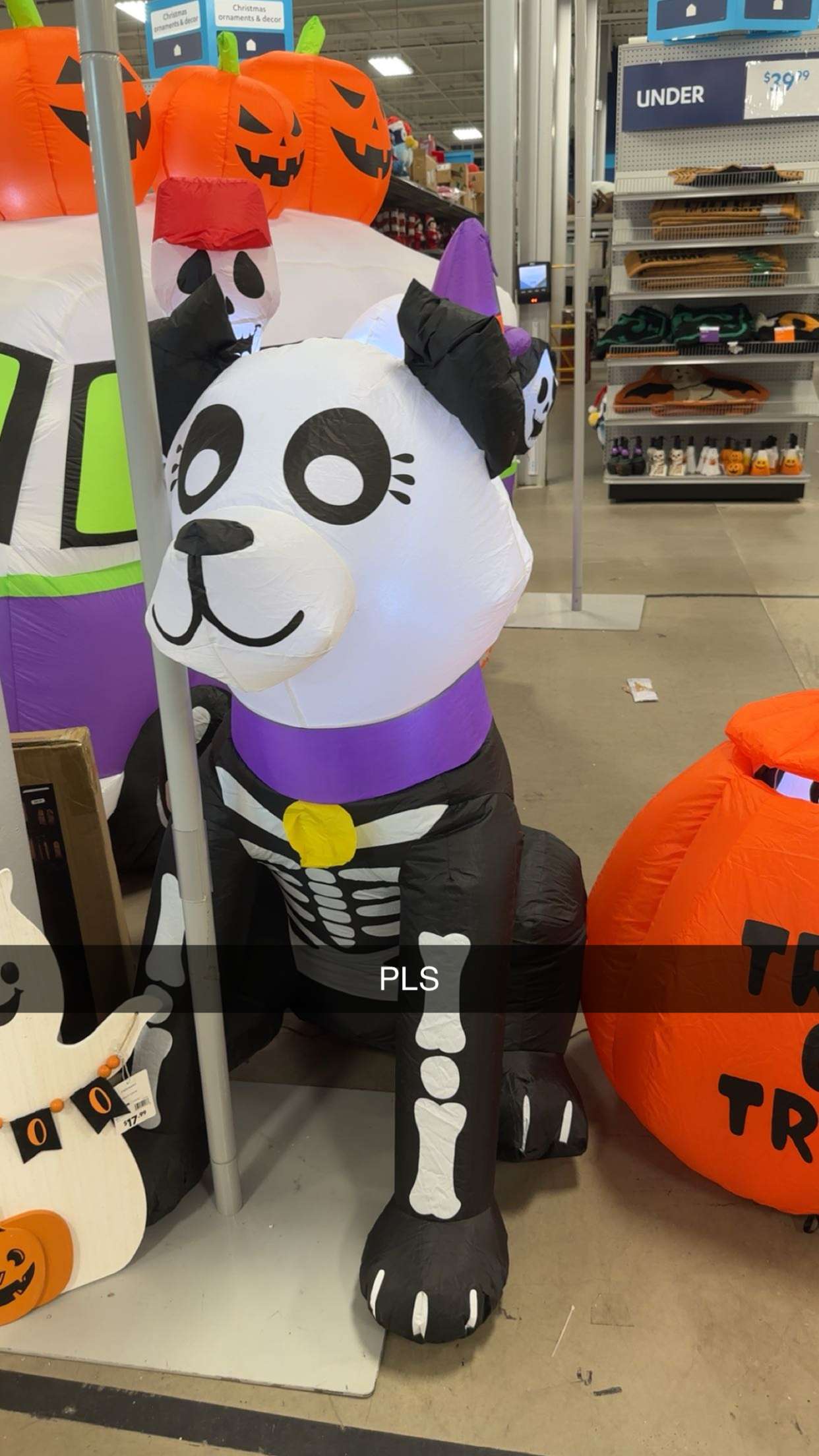 kylaayese snapchat image archive image