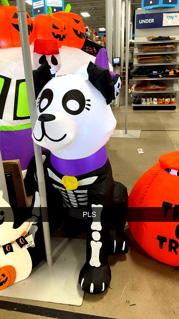 kylaayese image ~ Altpins